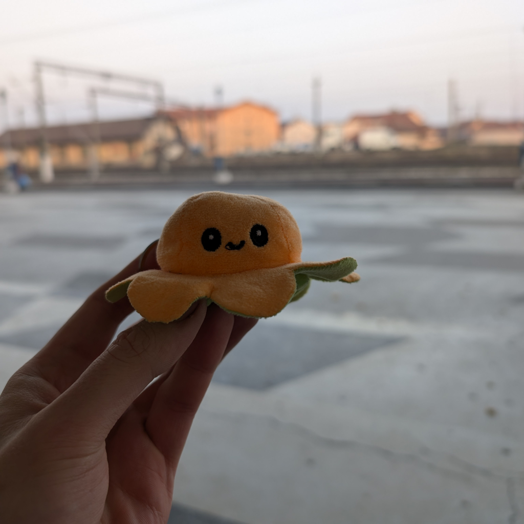 Small Bob am Bahnhof Târgu Jiu