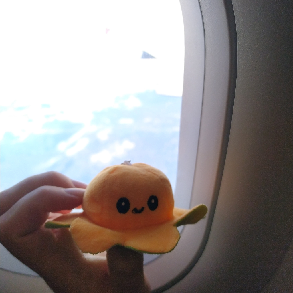 Small Bob auf dem Heimweg aus Italien