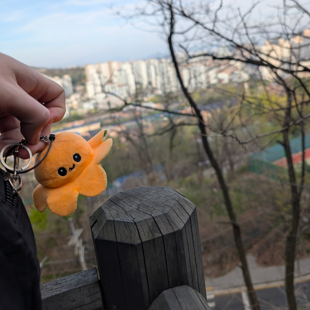 Small Bob auf einem Berg in Seoul