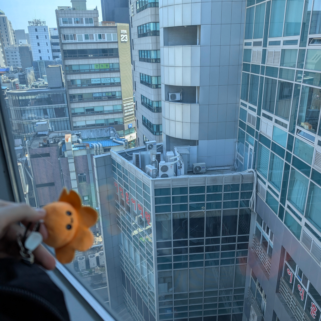 Small Bob in Seoul