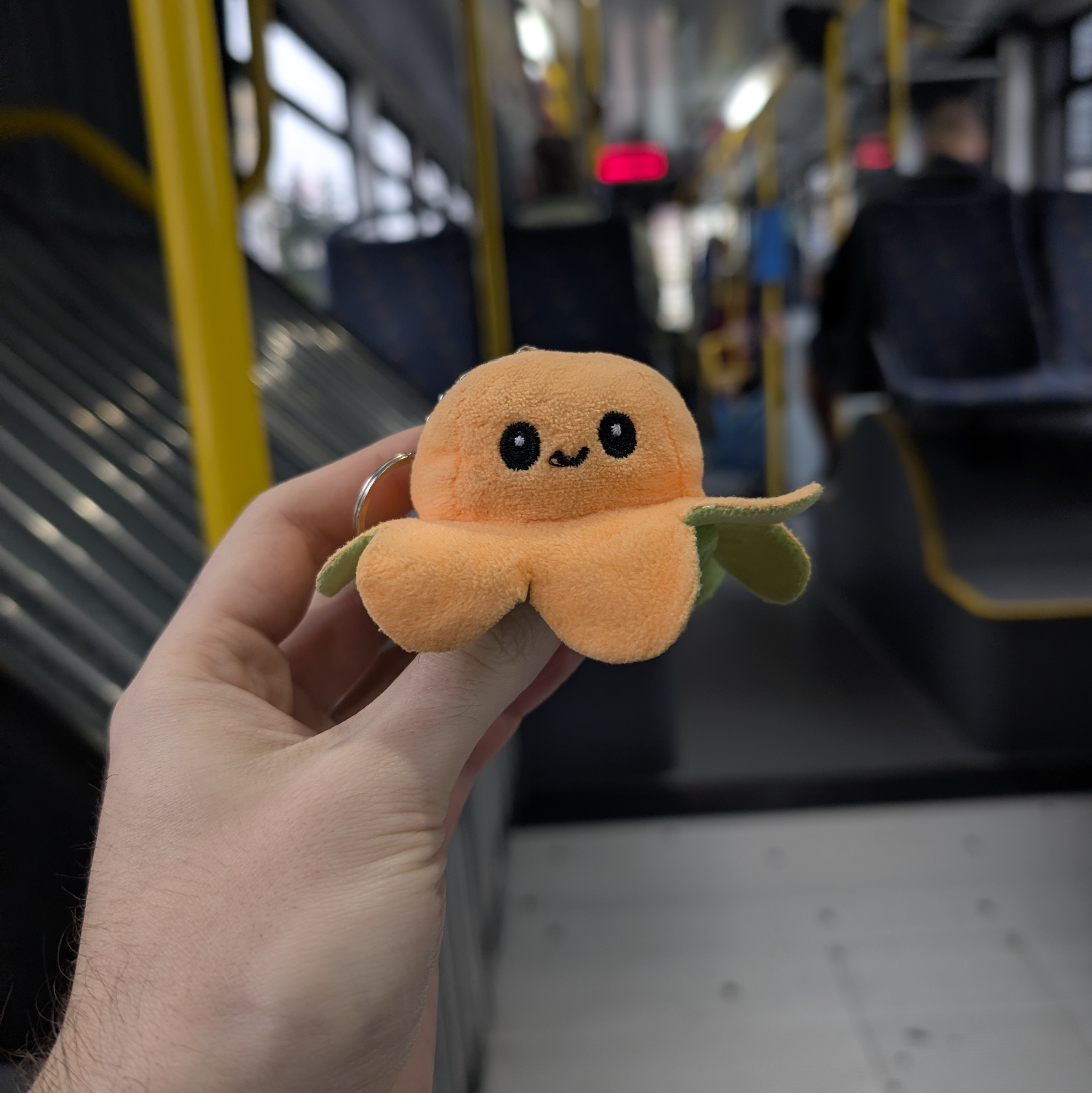 Small Bob in der Linie 5 in Cluj