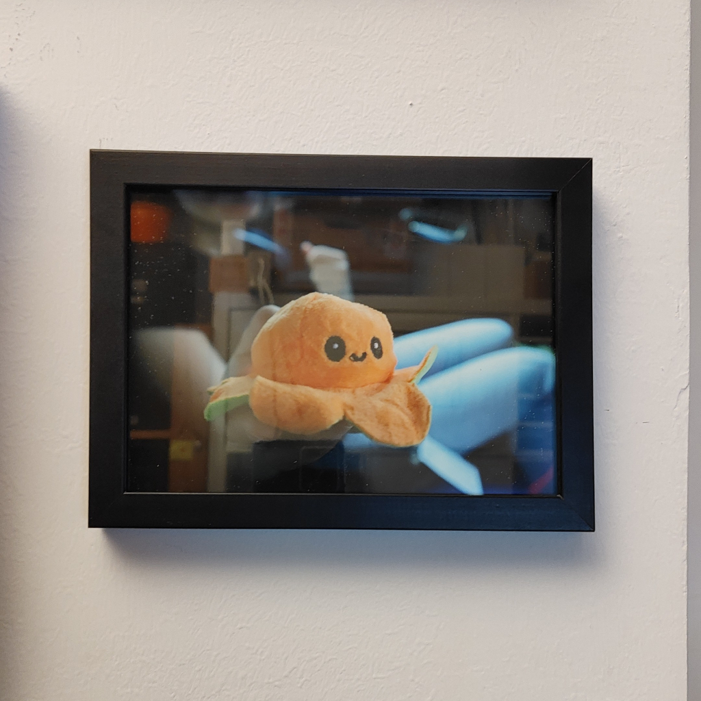 Small Bob in einem Bilderrahmen