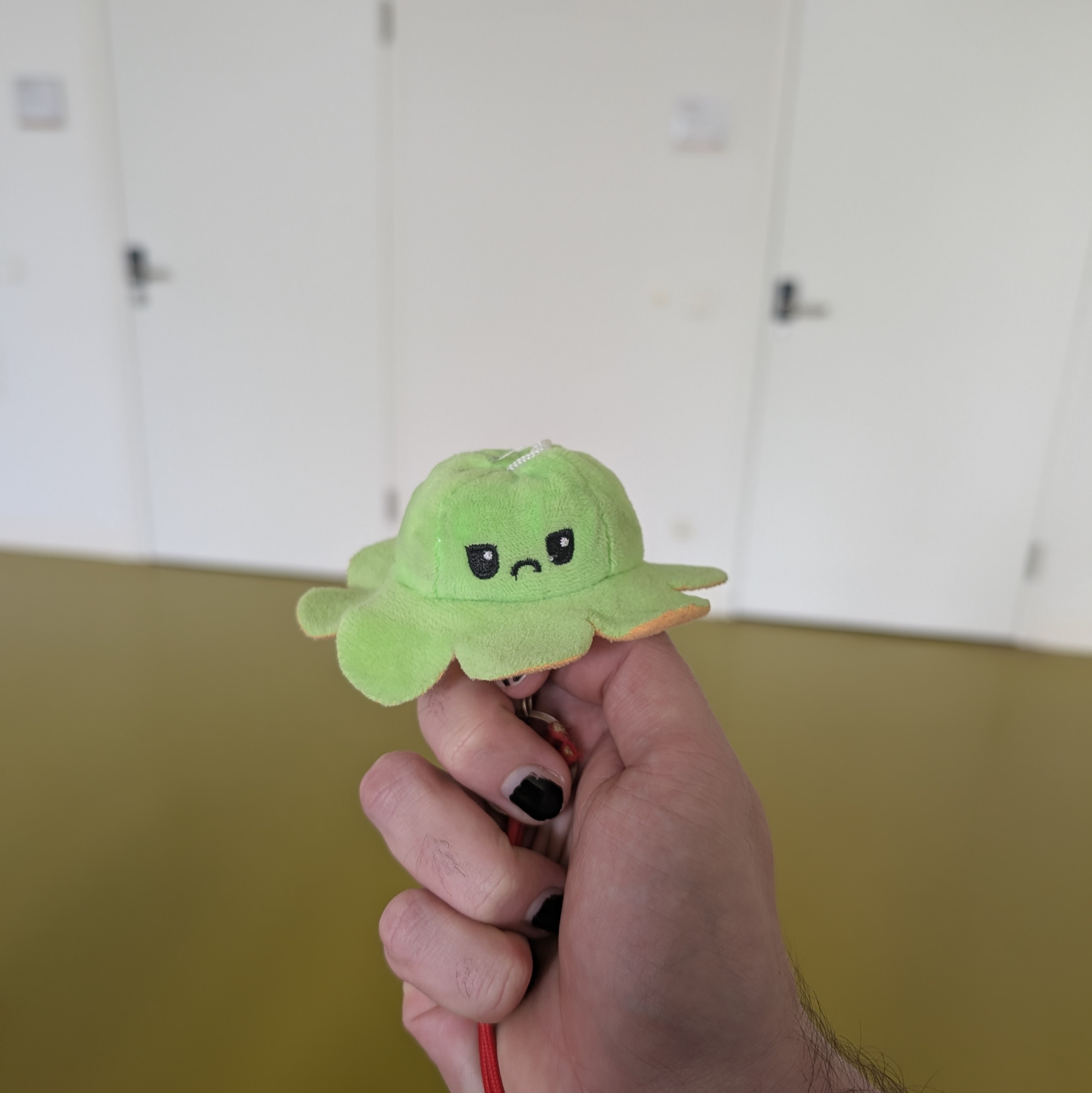 Small Bob nach der Prüfung