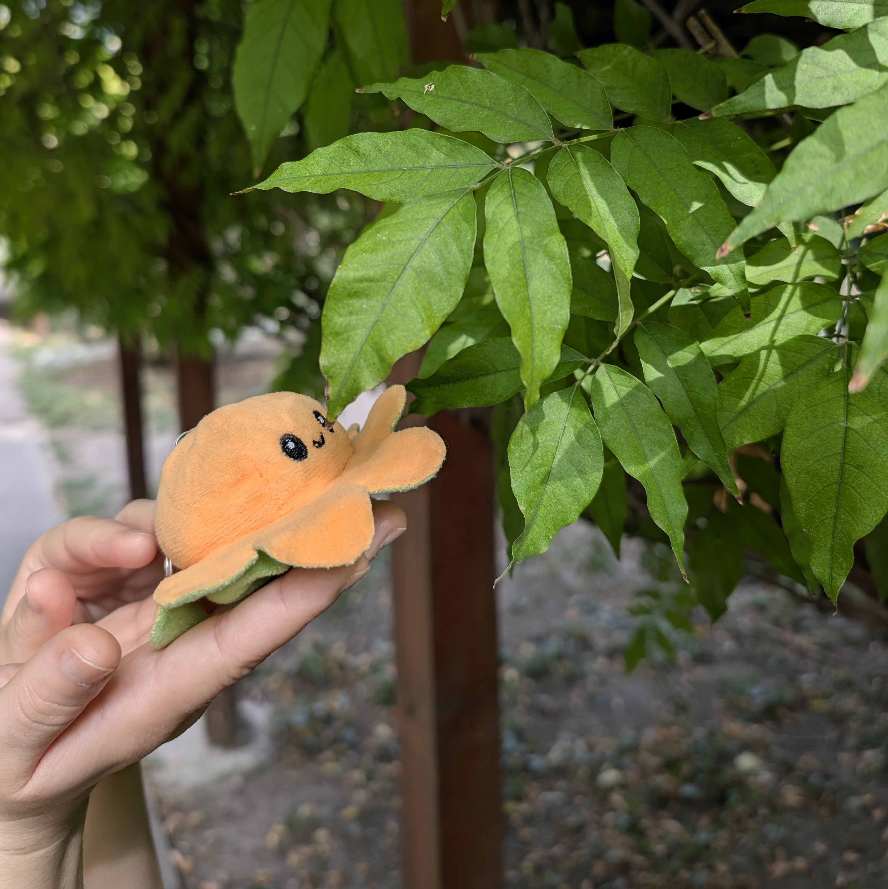 Small Bob und die Blätter