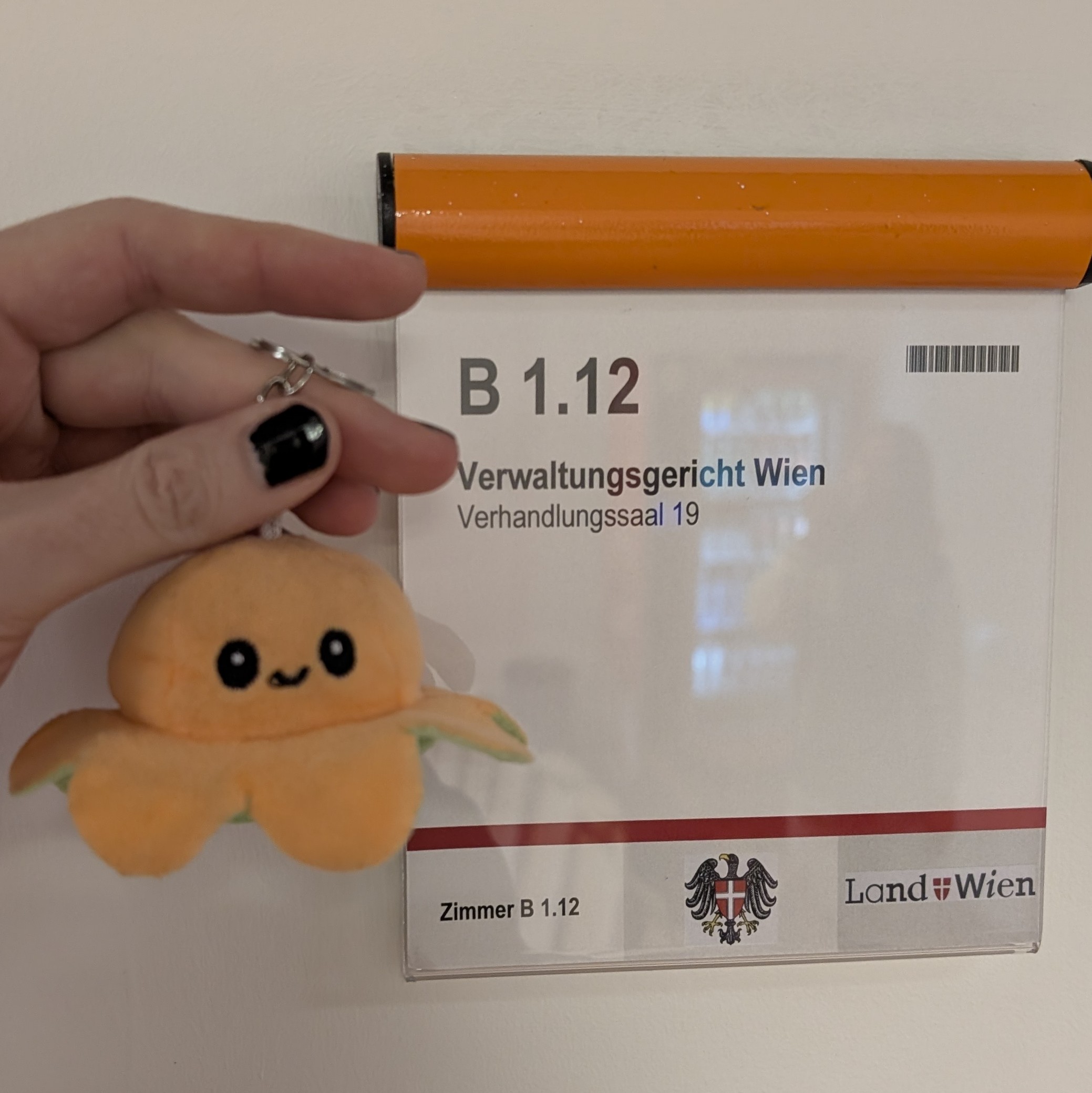 Small Bob verhandelt eine Bescheidbeschwerde